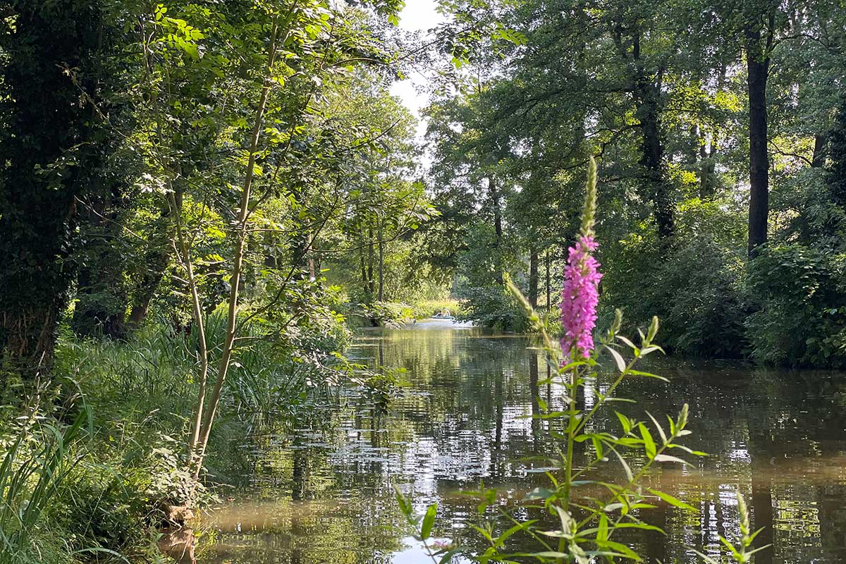 Flow at the natural harbor in Raddusch